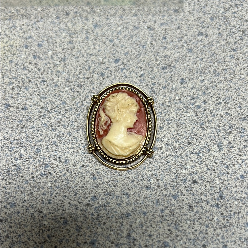 Vintage Cameo Brooch in Red and Cream